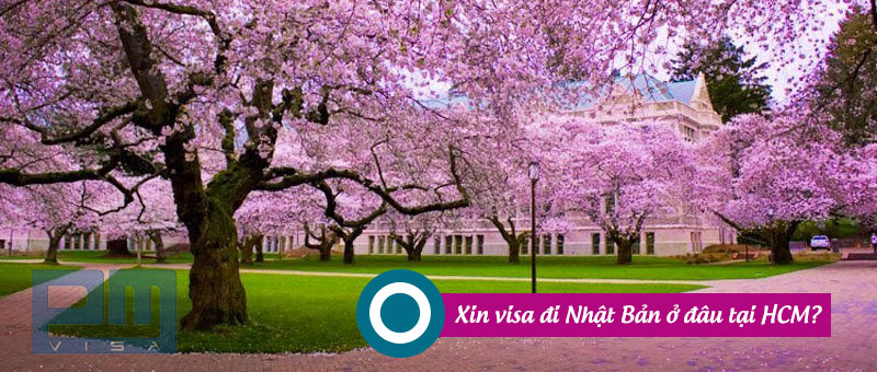 Xin visa đi Nhật Bản ở đâu tại Hồ Chí Minh?
